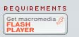 Download Free Flash Player